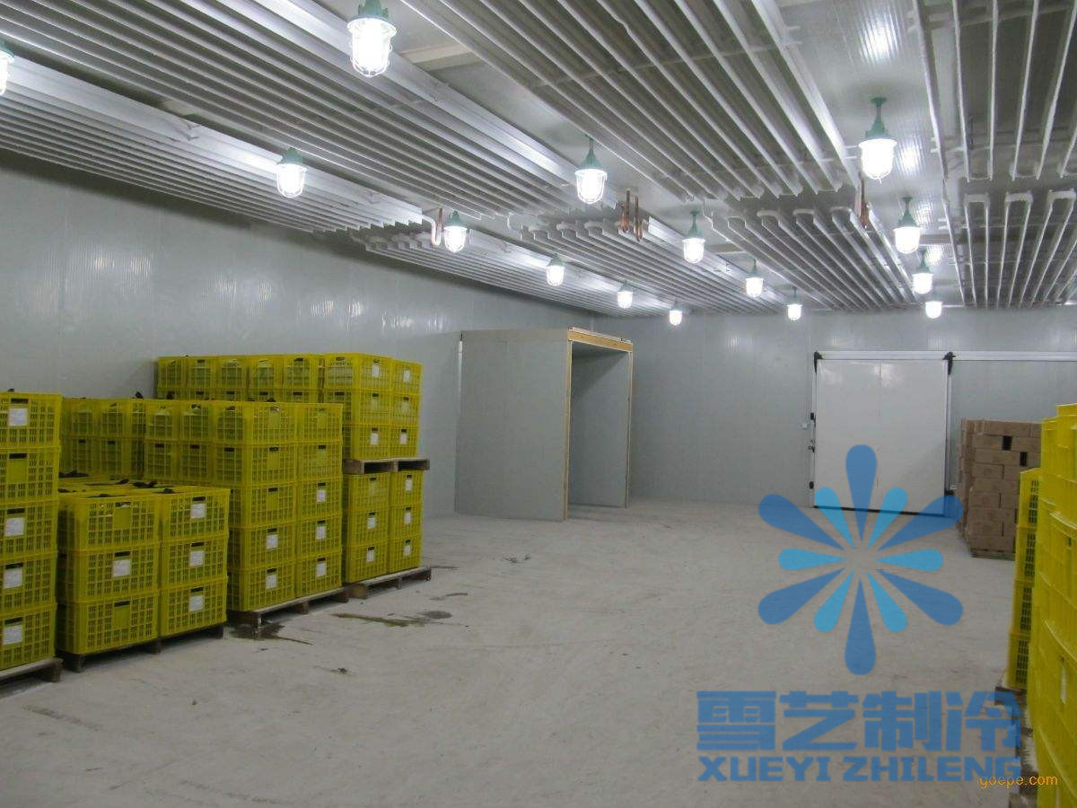 600立方氣調(diào)保鮮冷庫(kù)設(shè)計(jì)安裝，氣調(diào)保鮮冷庫(kù)