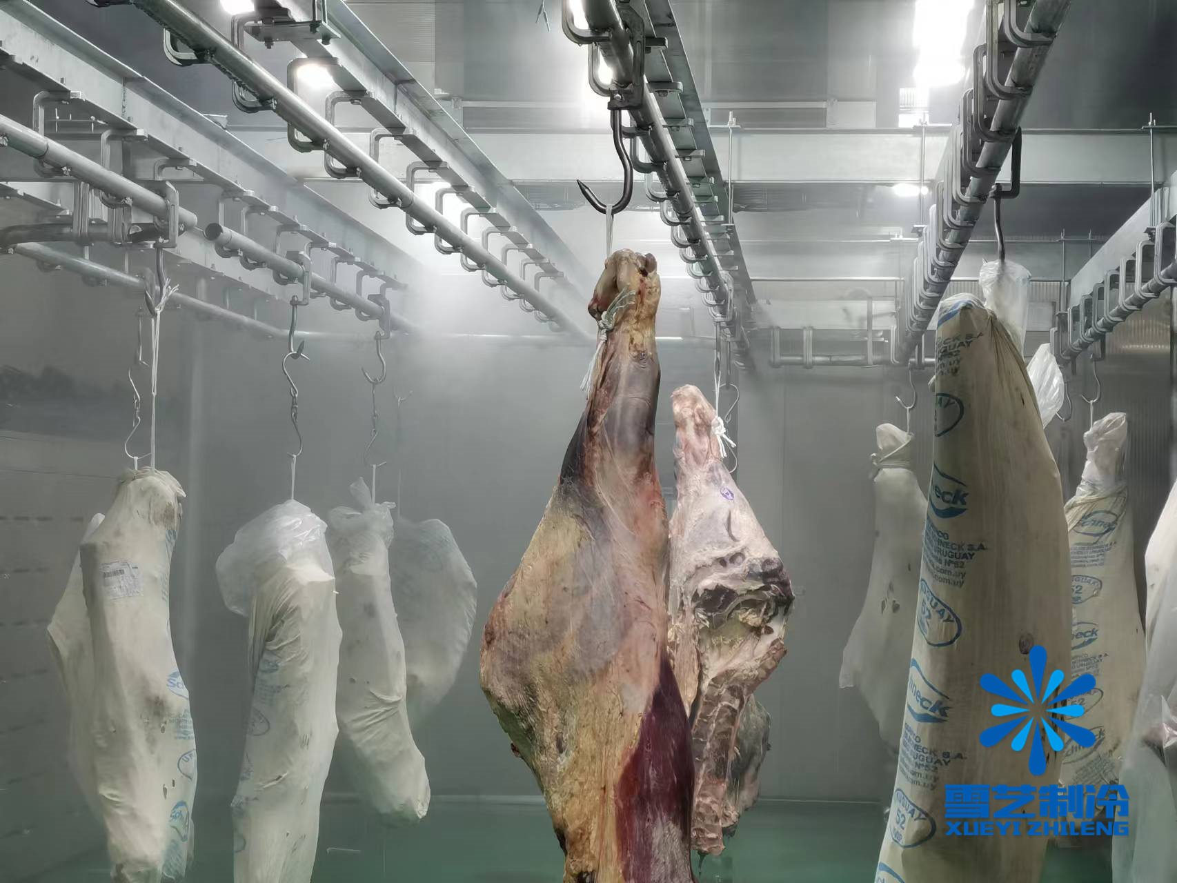 緩化庫，肉類解凍冷庫114.jpg