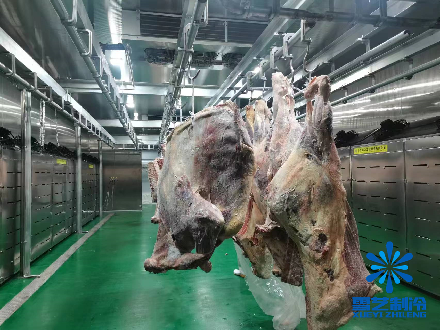 緩化庫，肉類解凍冷庫1.jpg