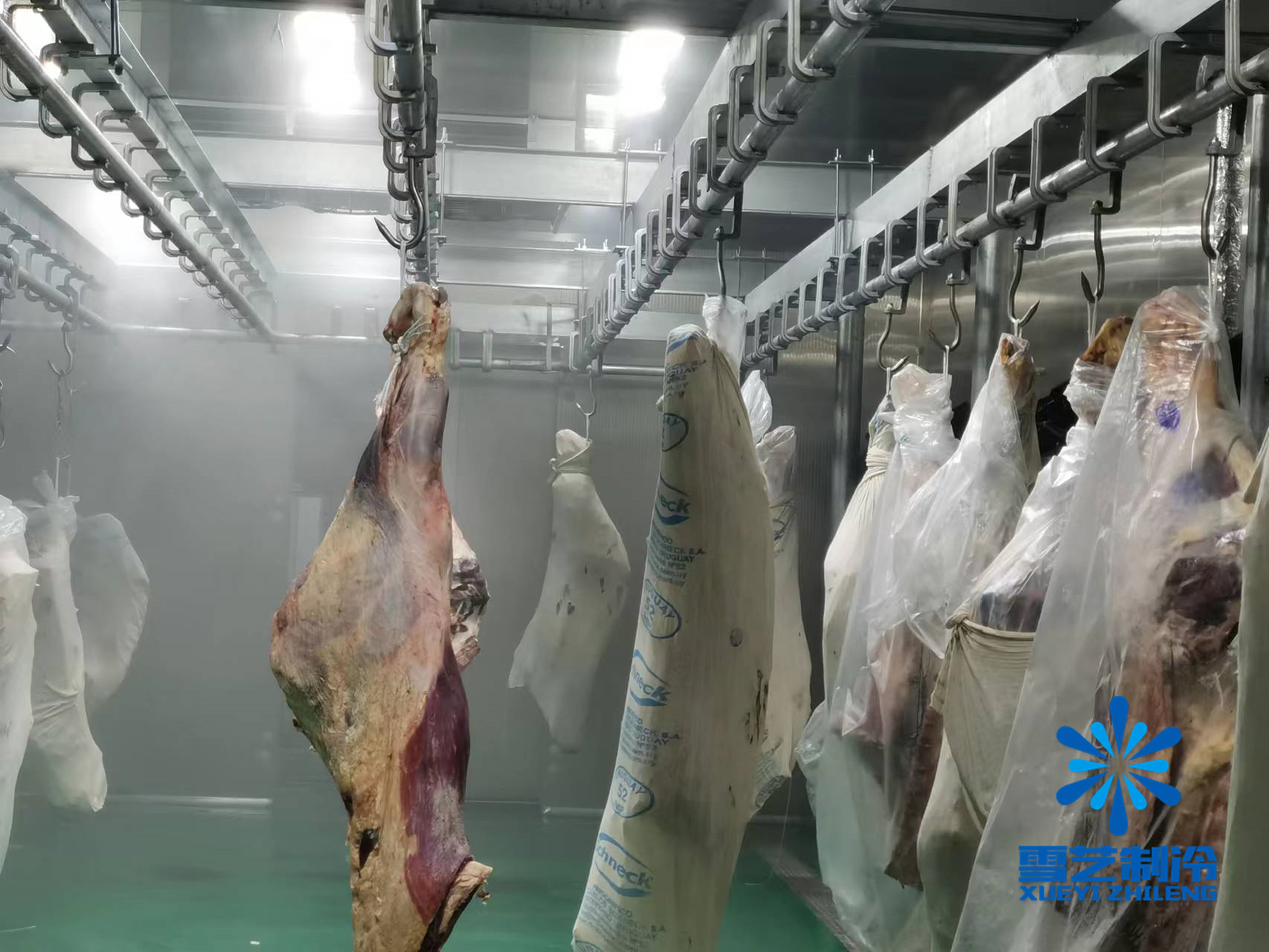 緩化庫，肉類解凍冷庫115.jpg